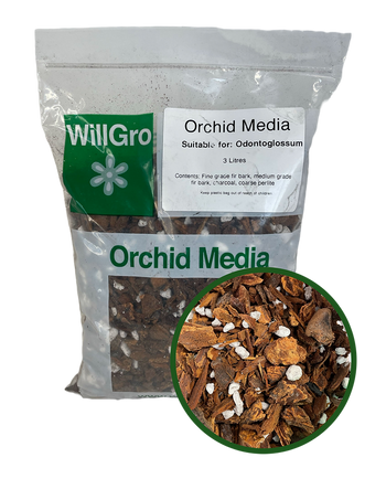 Willgro Odontoglossum Media 3L